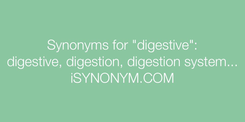 Synonyms digestive