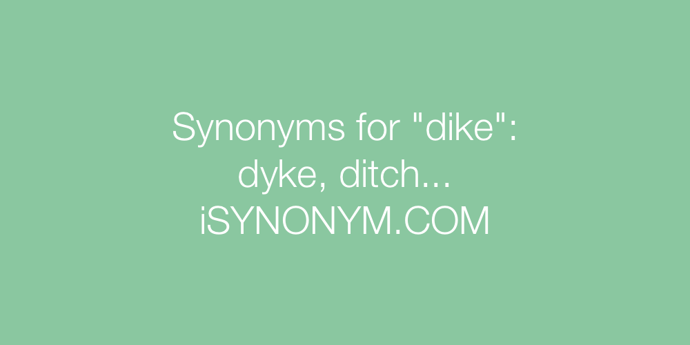 Synonyms dike