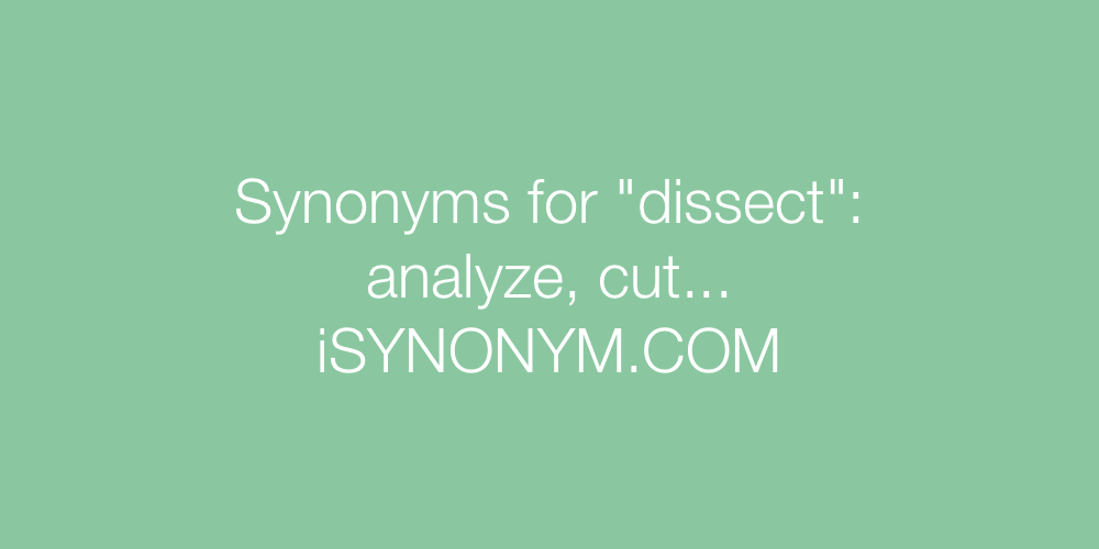 Synonyms dissect