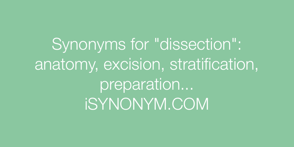 Synonyms dissection