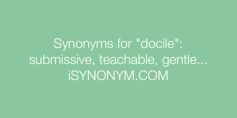 Synonyms docile