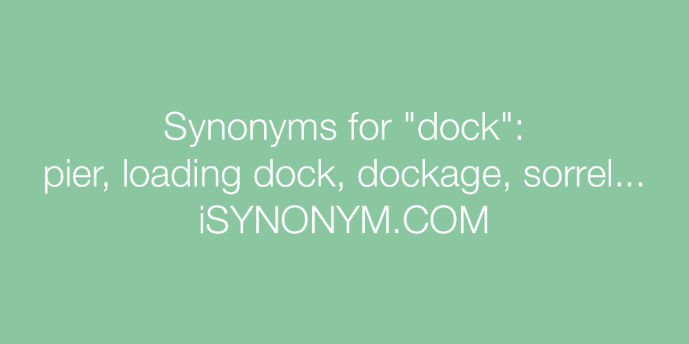 Synonyms dock