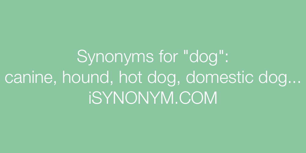 Synonyms dog