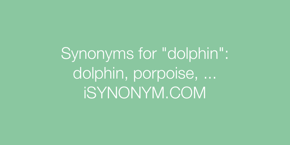 Synonyms dolphin
