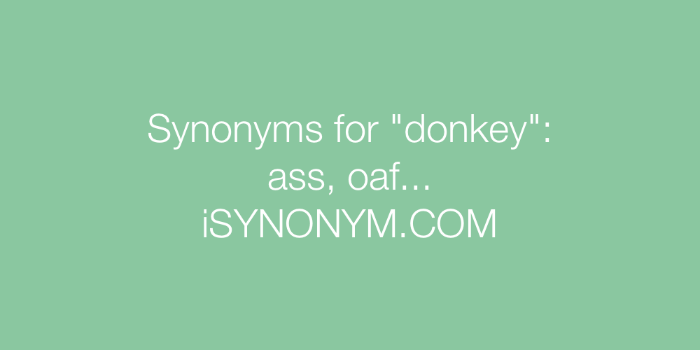 Synonyms donkey