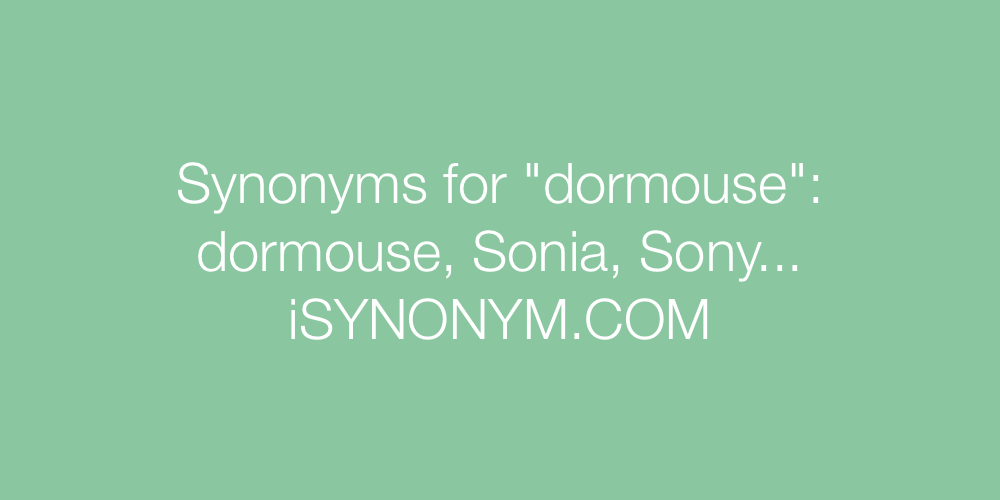 Synonyms dormouse