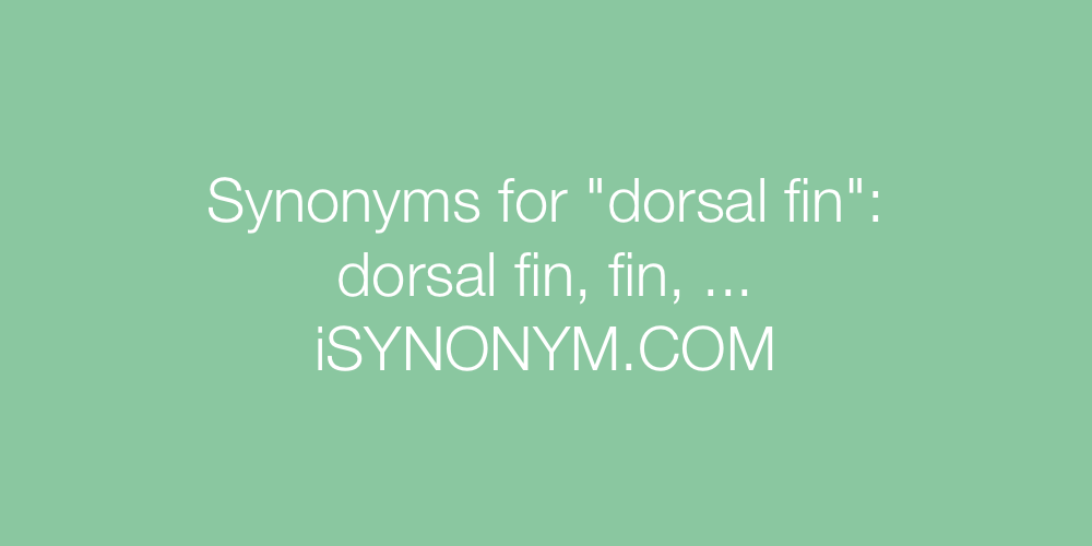 Synonyms dorsal fin