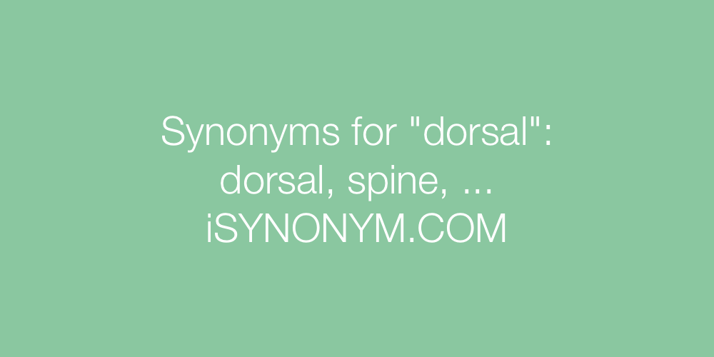 Synonyms dorsal