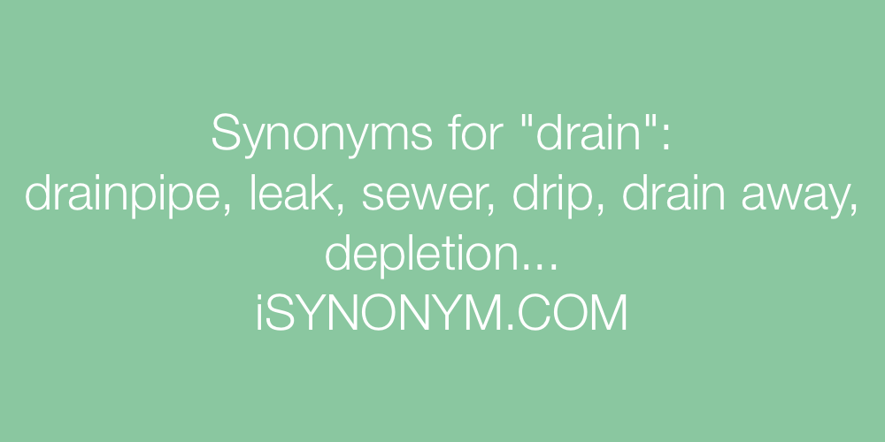 Synonyms drain