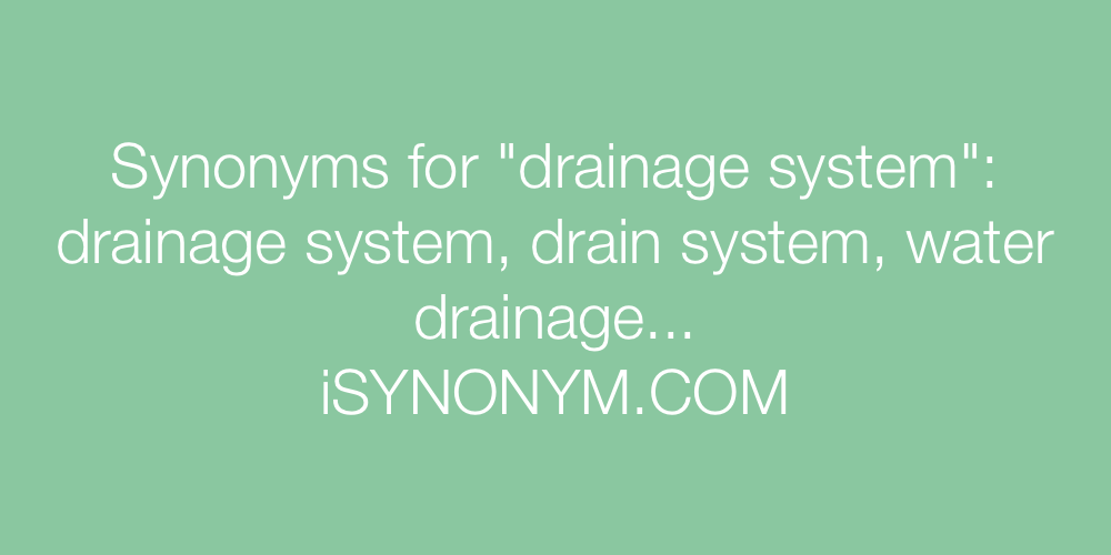Synonyms drainage system