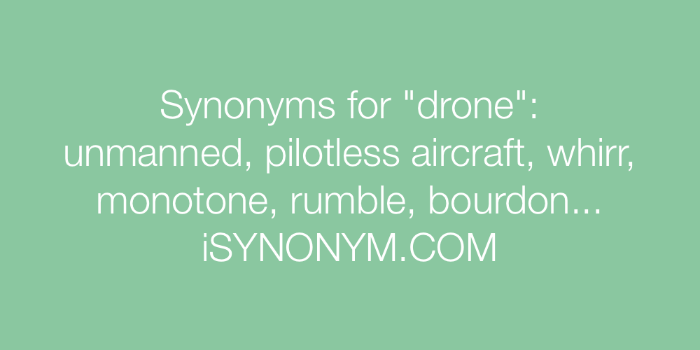 Synonyms drone
