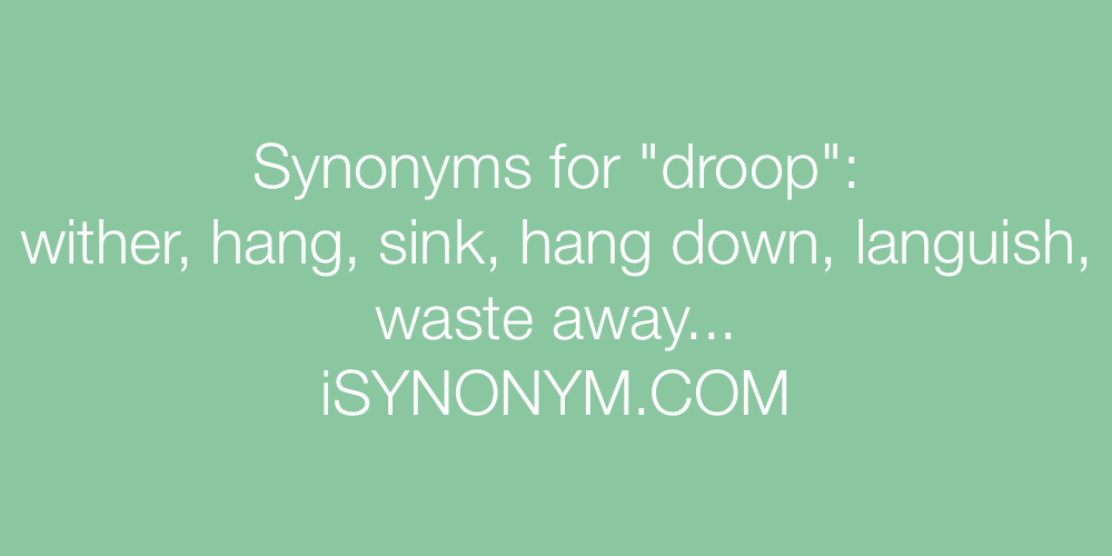 Synonyms droop