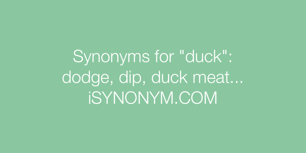 Synonyms duck