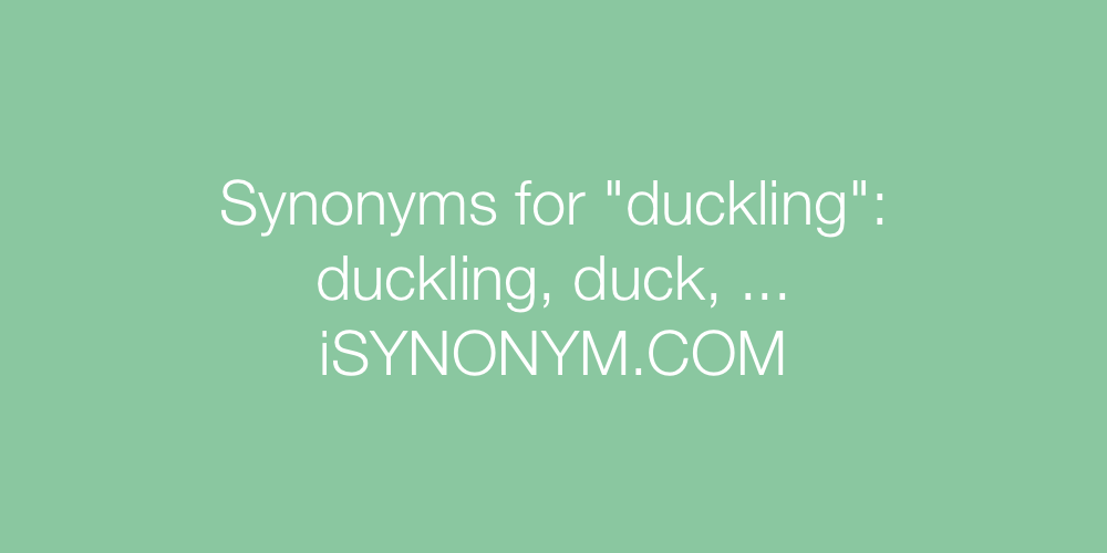 Synonyms duckling