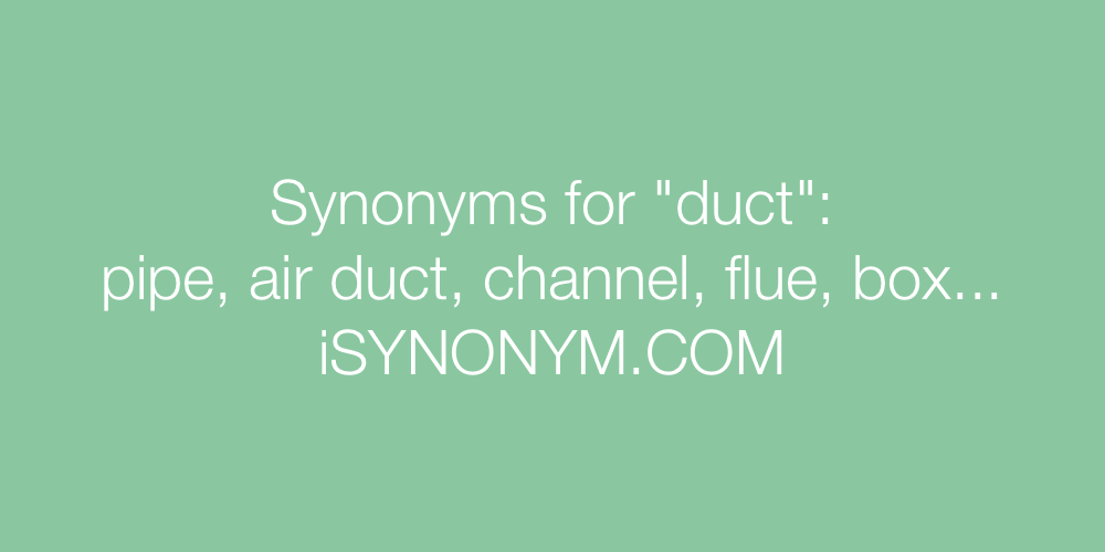 Synonyms duct