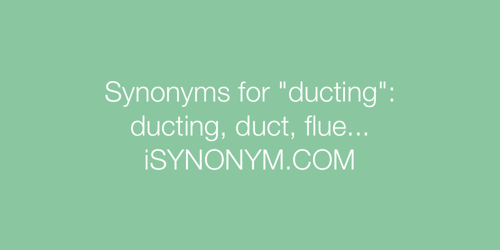 Synonyms ducting