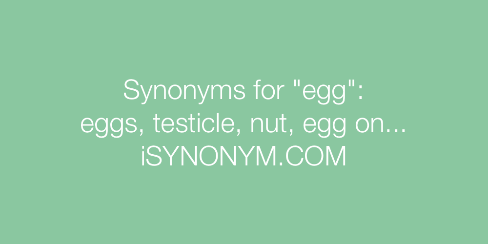 Synonyms egg