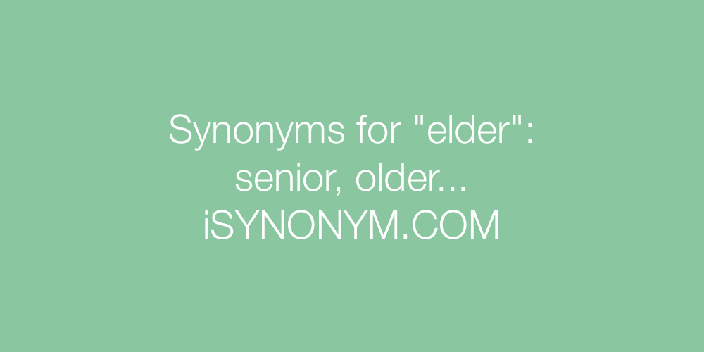 Synonyms elder