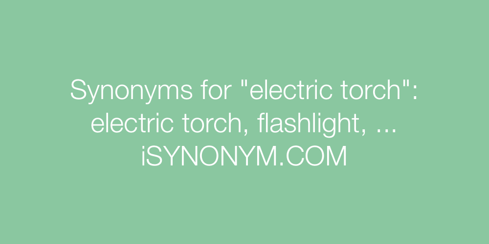 Synonyms electric torch