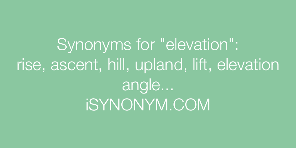 Synonyms elevation