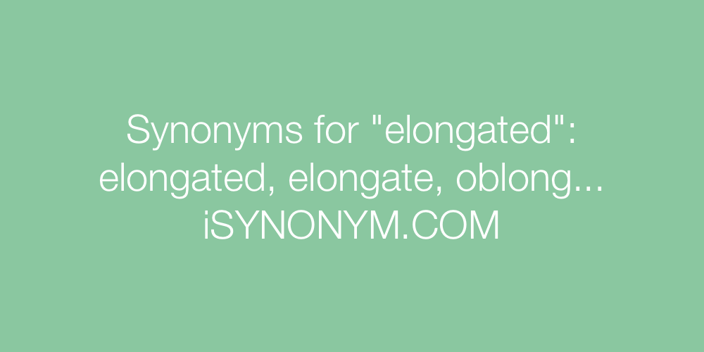 Synonyms elongated