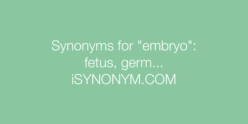 Synonyms embryo