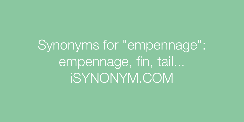 Synonyms empennage