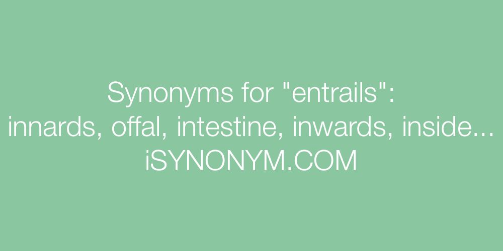 Synonyms entrails
