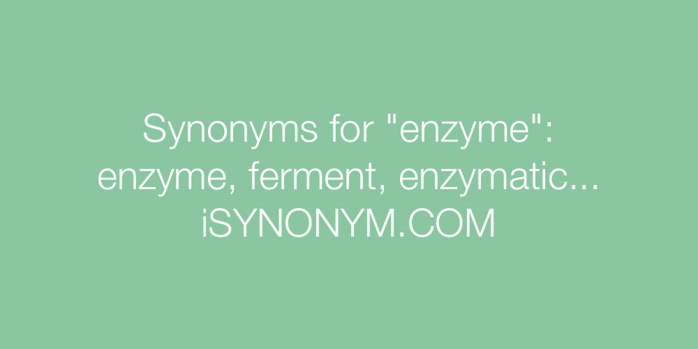 Synonyms enzyme