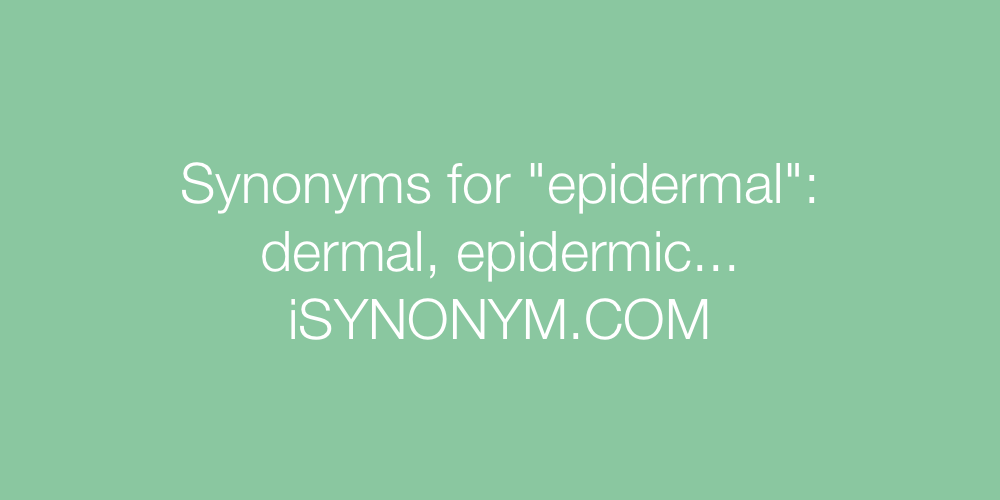 Synonyms epidermal