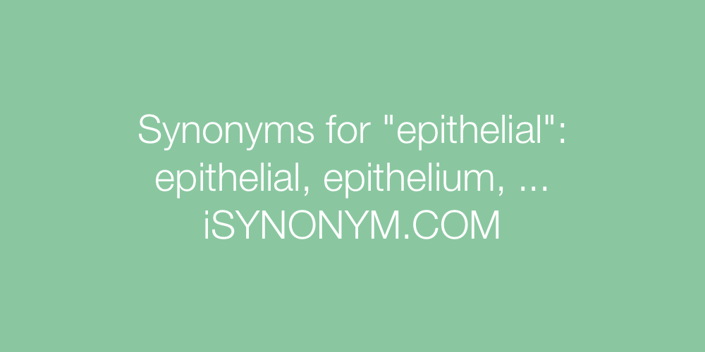 Synonyms epithelial