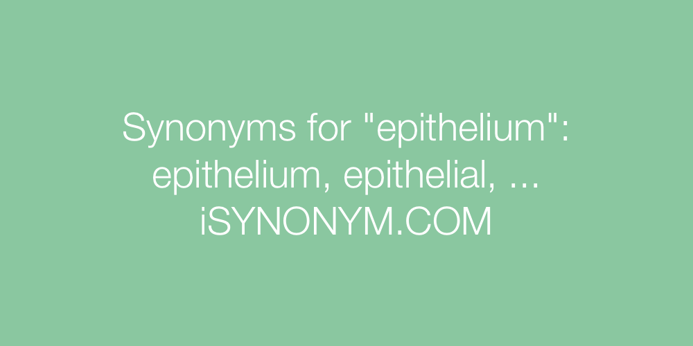 Synonyms epithelium
