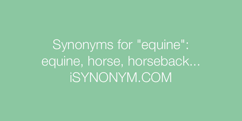 Synonyms equine