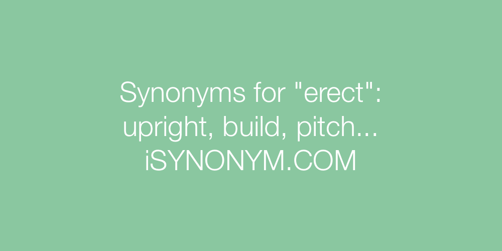 Synonyms erect