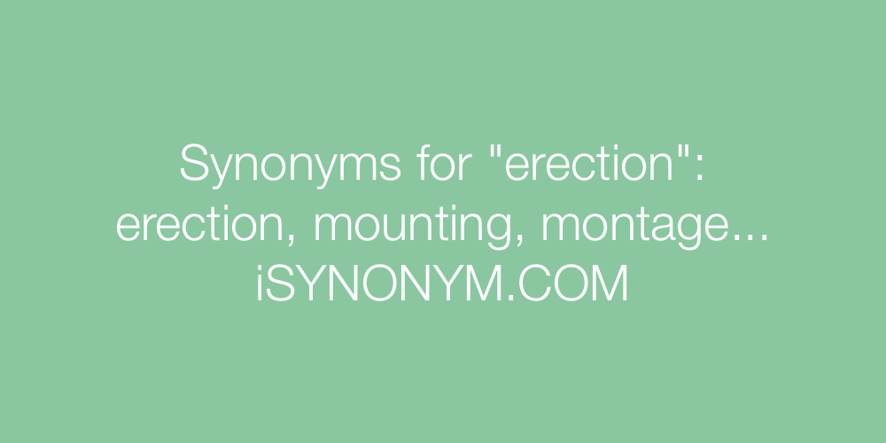 Synonyms erection