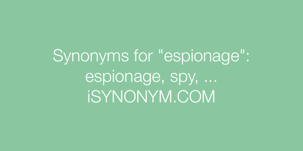 Synonyms espionage