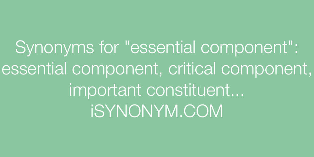 Synonyms essential component