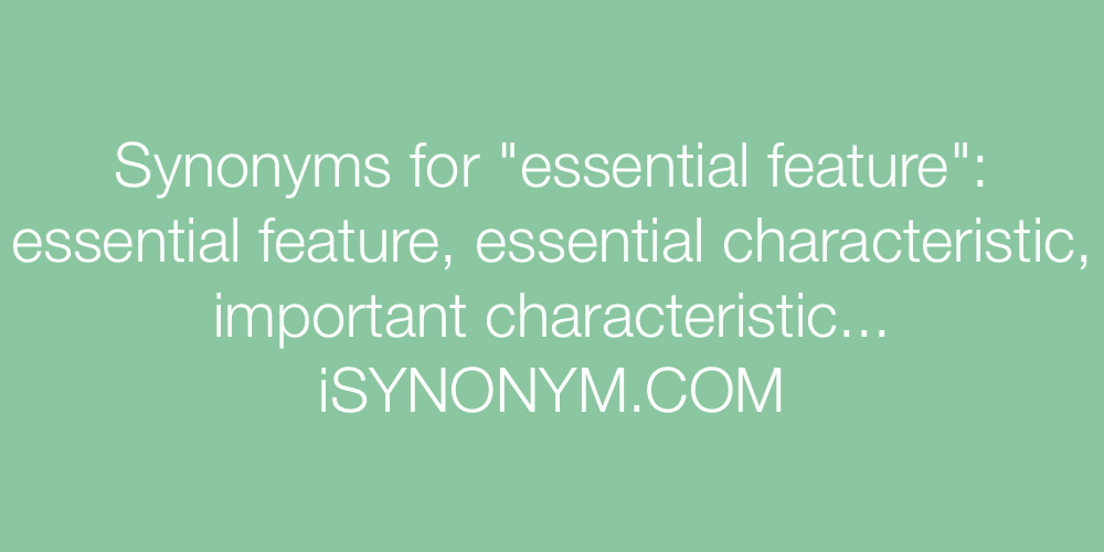 Synonyms essential feature
