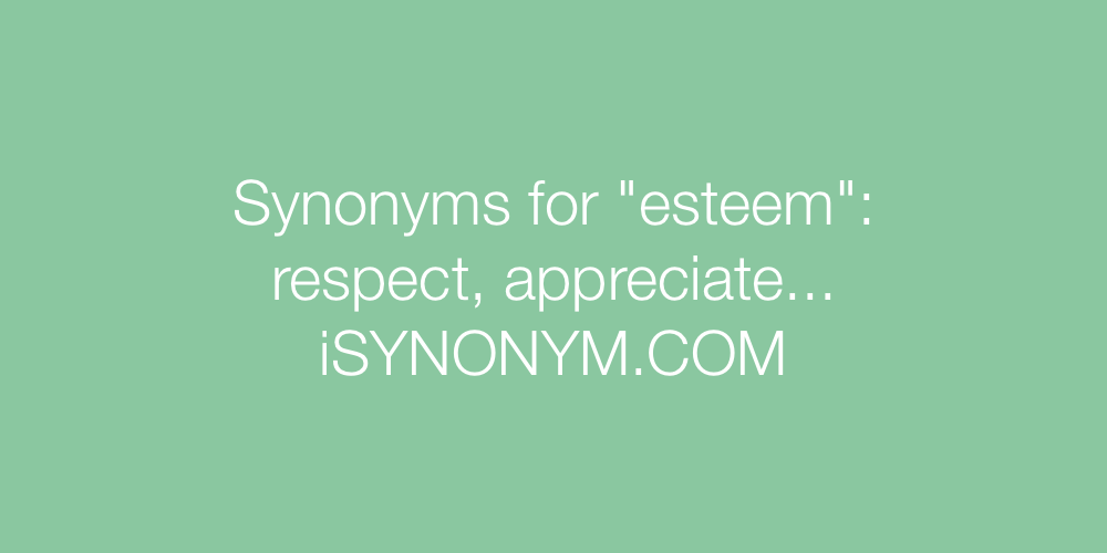 Synonyms esteem