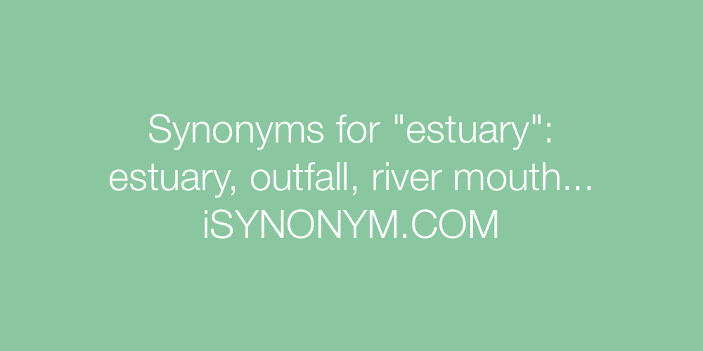 Synonyms estuary