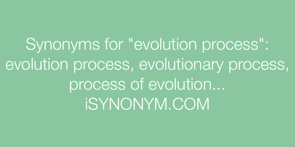 Synonyms evolution process