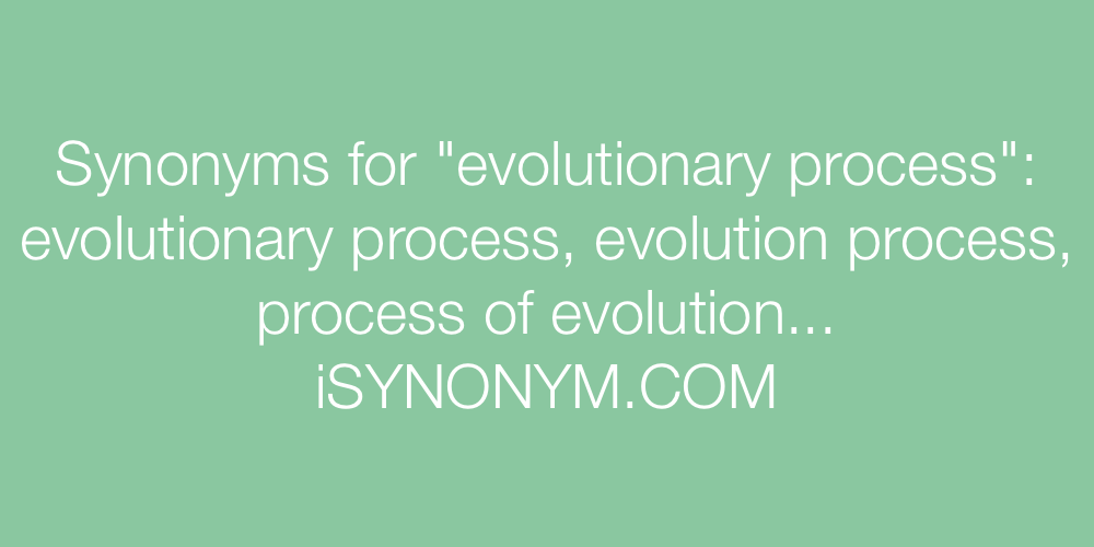 Synonyms evolutionary process
