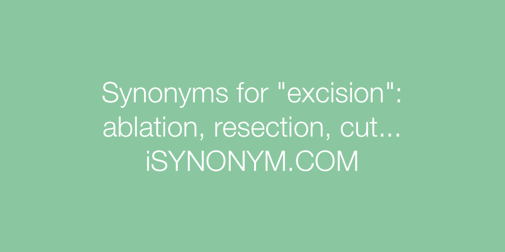 Synonyms excision