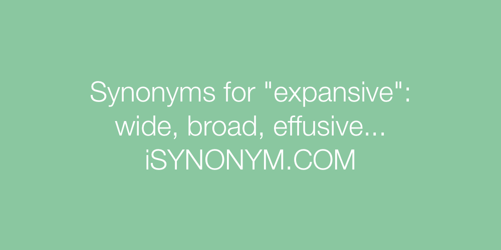 Synonyms expansive