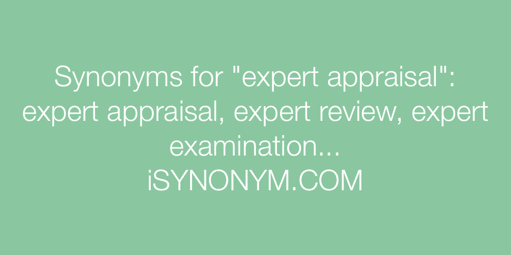 Synonyms expert appraisal