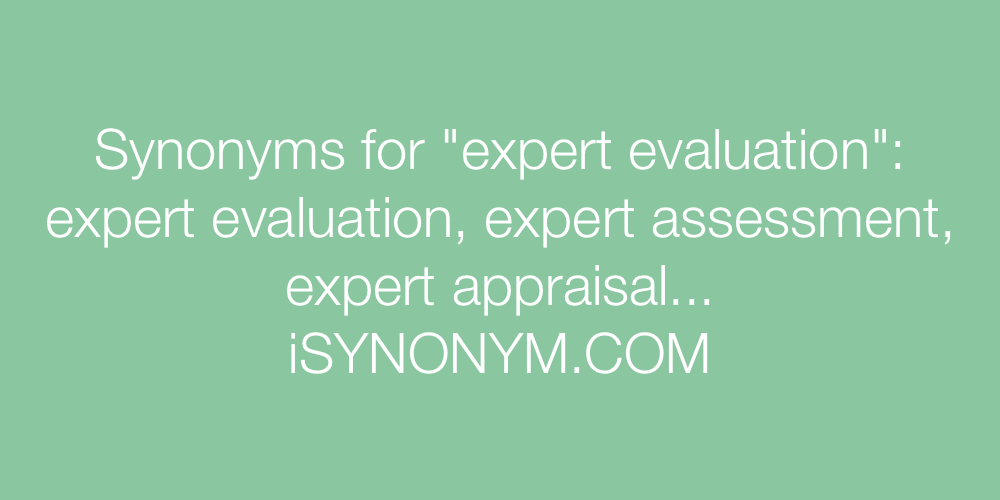 Synonyms expert evaluation