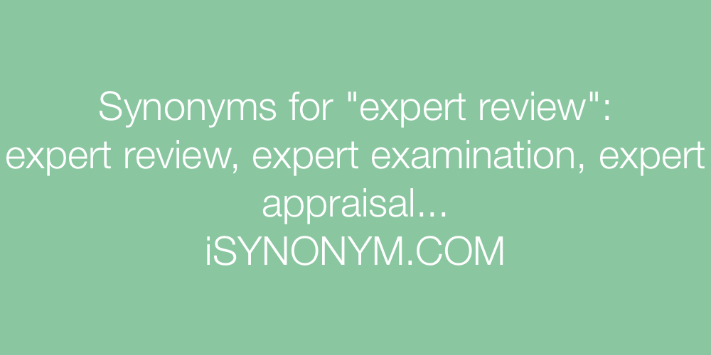 Synonyms expert review