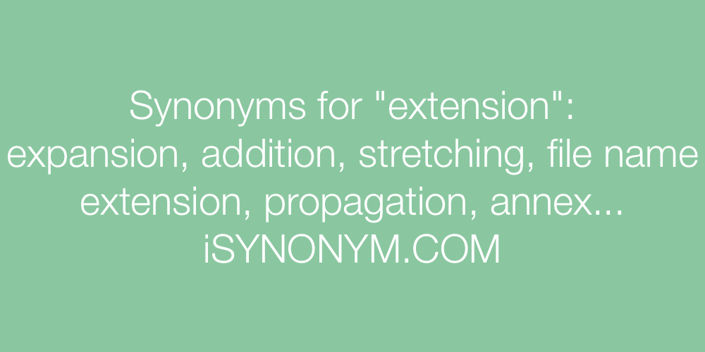 Synonyms extension