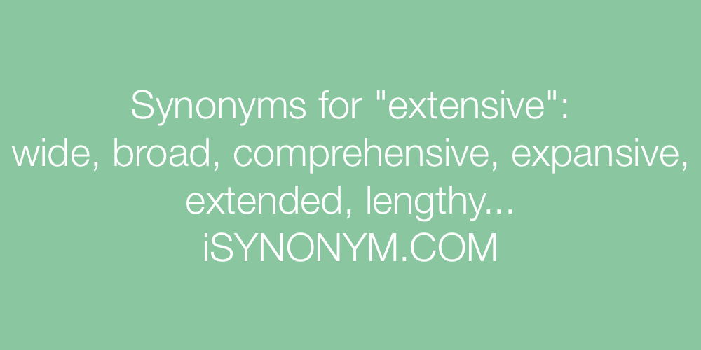 Synonyms extensive