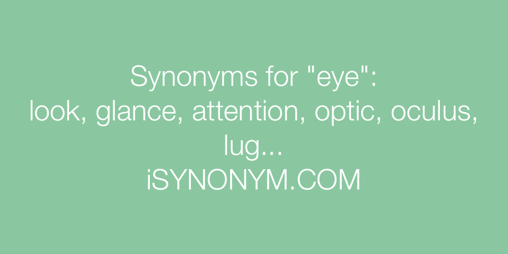 Auge Synonym